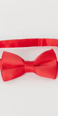 Satin Bow Tie