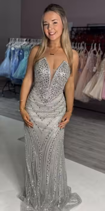 alba silver sequin beaded fitted gown
