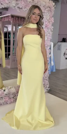 Sarah Lemon Fitted Gown